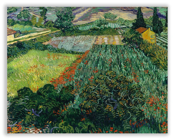 Field with Poppies (1889)